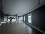 HOME OFFICE/ BUSINESS NEXT TO BIRDS NEST 1 BR HUGE Loft apartment