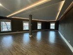 HOME OFFICE/ BUSINESS NEXT TO BIRDS NEST 1 BR HUGE Loft apartment