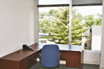 Professional Furnished Offices