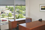 Professional Furnished Offices