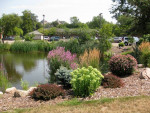 Wayzata/Minnetonka Office Space Options 200 to 1,950 SF