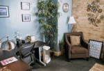 Psychotherapist Office Space In Lakeview Beautiful Fully Furnished