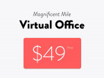 Michigan Avenue Business Address and More | Under $50/mo
