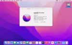 2015 MacBook Pro 13" w/ TB2 Dock