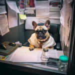 Breakout of the Cubicle - Get A Private Office with Regus!
