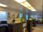 Office professsional space for rent