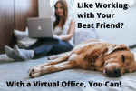 Virtual Office - Online Atmosphere is just the beginning