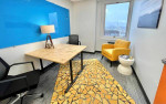 FLEX OFFICE SPACE MOVE-IN READY - ALBANY