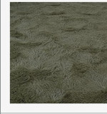New!  Rugs!  Different Colors!  All Sizes!  Ask for pricing on sizes!  Layaway Available!