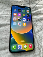 256 GB iPhone 13 Pro Max Unlocked