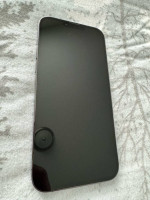 256 GB iPhone 13 Pro Max Unlocked