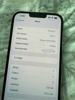 256 GB iPhone 13 Pro Max Unlocked
