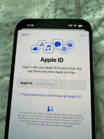 256 GB iPhone 13 Pro Max Unlocked