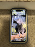 Iphone 13 Mini