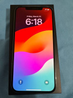 iphone 12 pro max 256GB unlocked