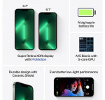Unlocked iPhone 13 Pro Max (256 GB) green. Comes with retail box and charger.