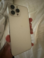 iPhone 13 Pro MaxUnlocked Perfect Condition