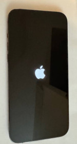 Pristine iPhone 13 Pro Max