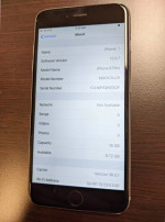 iPhone 6+ - 16GB - Verizon