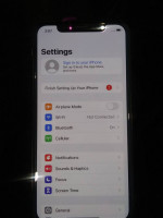 IPhone X (256gb)