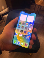 iPhone 13 Pro 512GB Cracked Back