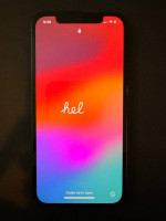iPhone 12 Pro 256 Unlocked