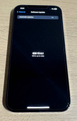 iPhone 12 Pro Max 256 GB + Bundle
