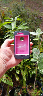 Otterbox iPhone 4 Pink
