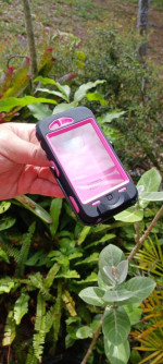 Otterbox iPhone 4 Pink