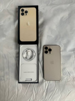 iPhone 13 pro max 1TB GOLD