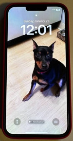 Apple iPhone 13 Pro Max