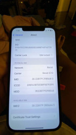Apple iphone 12