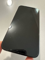 256 GB iPhone 12 Pro Max Unlocked