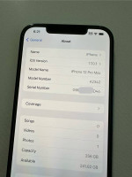 256 GB iPhone 12 Pro Max Unlocked