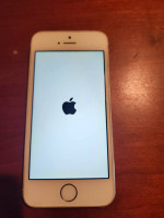 iPhone 5s 32gb unlocked/verizon