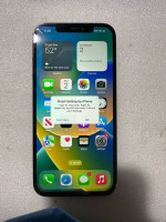 12 pro max