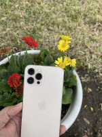 iPhone 13 Pro Max 128GB metropcs tmobile walmart family mobile gold co