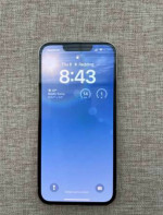 Apple iPhone 13 Pro 256GB - Silver (Unlocked)