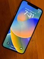 iPhone X 256GB, Silver, unlocked
