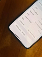 iPhone X 256GB, Silver, unlocked