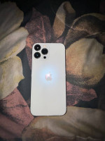 iPhone 13 ProMax