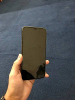 iPhone 12 Pro Max (128 GB)Perfect Condition