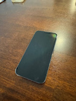 iPhone 13Pro