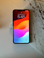 iPhone 11 Pro Max (256gb / Verizon)