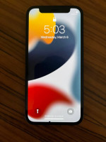 iPhone 12 mini - 128 GB, 100% battery health
