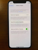 iPhone 12 mini - 128 GB, 100% battery health