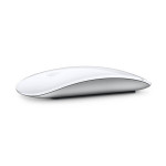 Apple MacBook Pro 14" (M1 - Late 2021) Magic Mouse & Spigen Shell