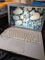 Apple Macbook 3,1