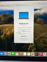 MacBook Pro 15 inch (Mid 2018) 16 GB Memory 256 GB Storage