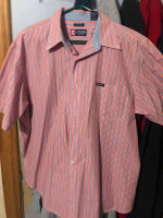 Chaps Button Down Shirt